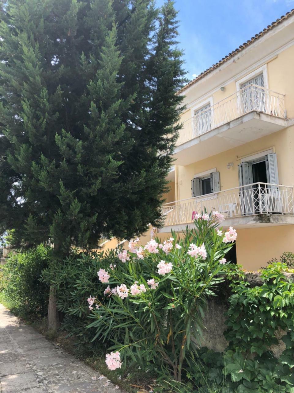 Gregos Rooftop Suite City Center W. Sea View Corfu  Εξωτερικό φωτογραφία